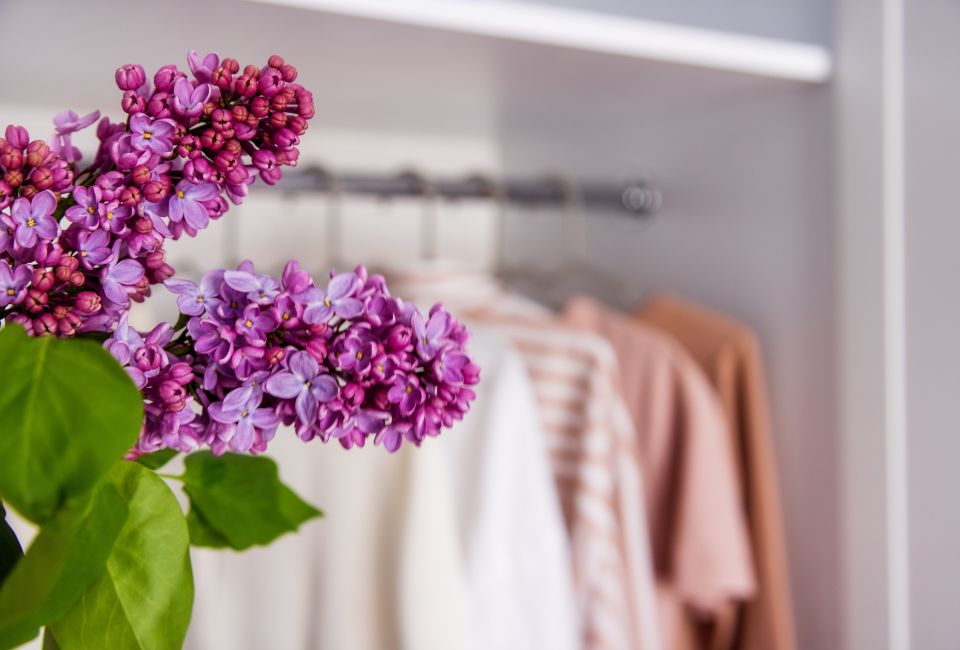 closet organization stock